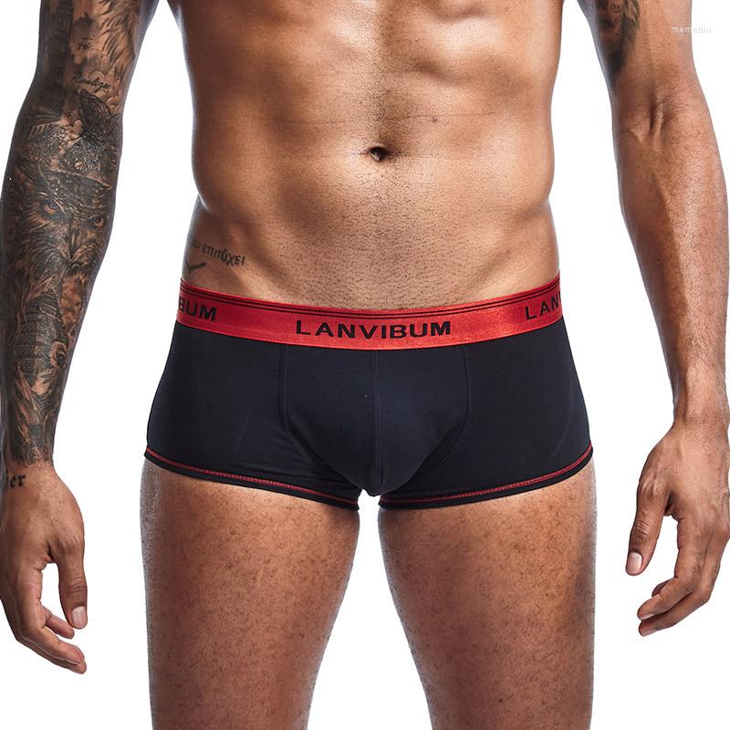 Underpants Men Underwear Cotton Boxers Male Shorts Soft Bright Belt Slip Solid Mens Boxer Sexy Homewear Panties, Greenwhite
Underpants Men Underwear Cotton Boxers Male Shorts Soft Bright Belt Slip Solid Mens Boxer Sexy Homewear Panties, Greenwhite