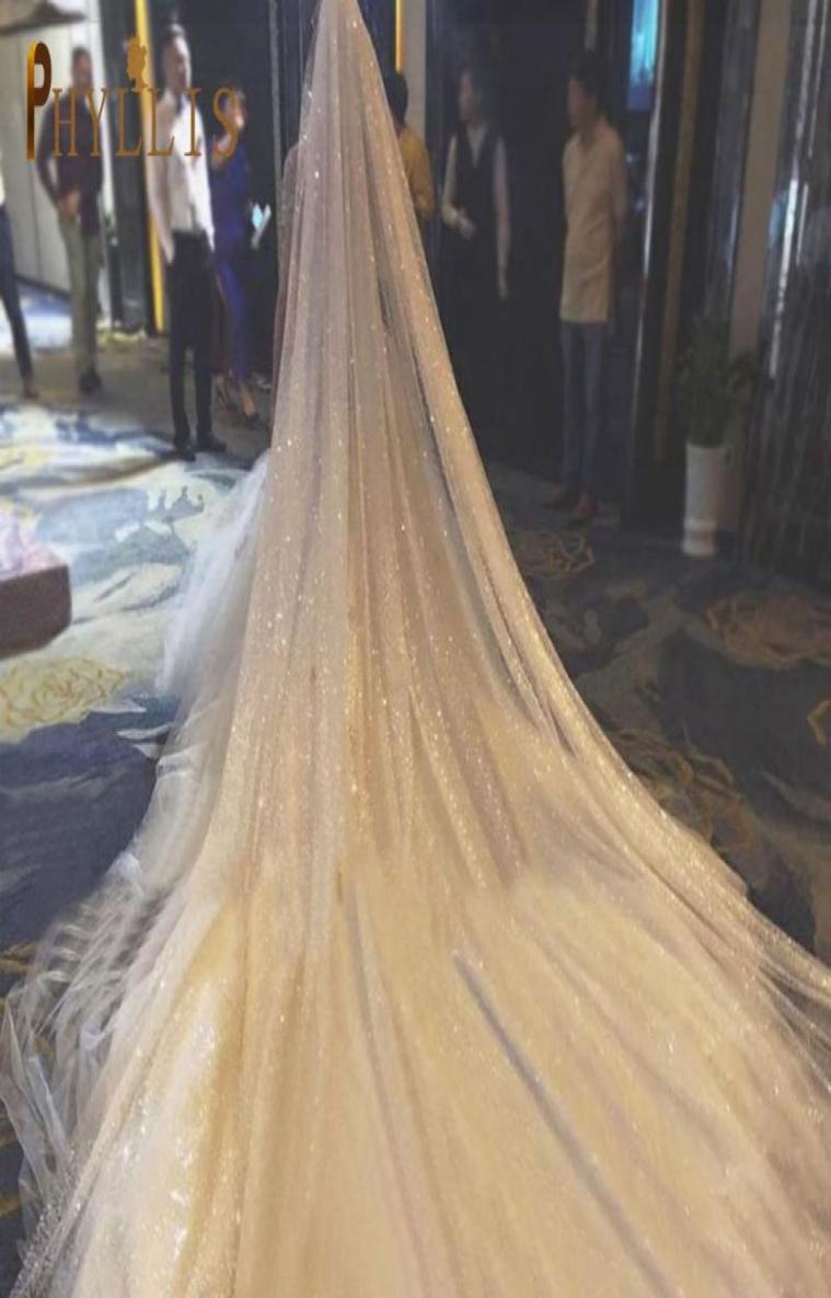 Bridal Veils B58D Sparkle Wedding Veil Champagne Colored Bling Long 3M5M Bride Luxury Cathedral6893250
Bridal Veils B58D Sparkle Wedding Veil Champagne Colored Bling Long 3M5M Bride Luxury Cathedral6893250