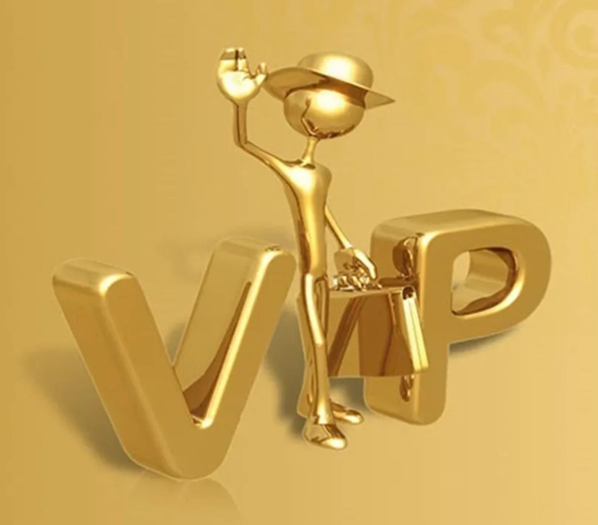 Special Link For Vip Customer To pay 100pcs hats and 252pcs commemorative coins