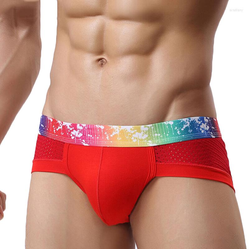 Underpants Sexy Briefs Men Underwear Cuecas Shorts Mesh Breathable Low Waist Ropa Interior Hombre Camo 4Pcs/lot, 4pcs rose
Underpants Sexy Briefs Men Underwear Cuecas Shorts Mesh Breathable Low Waist Ropa Interior Hombre Camo 4Pcs/lot, 4pcs rose