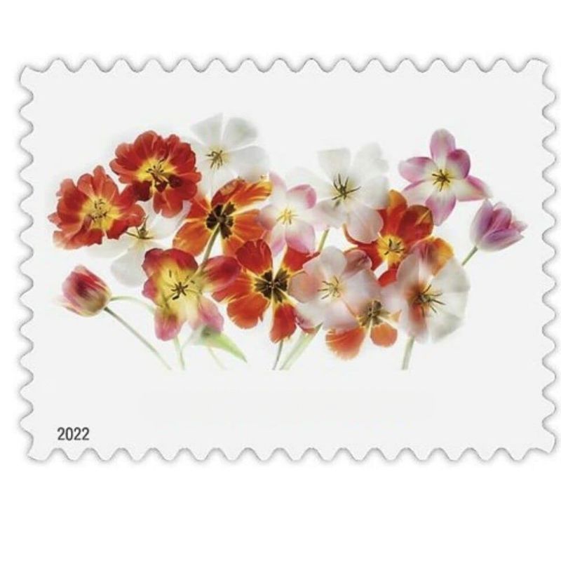 Stamps Coil Of 100 U.S. Postal Service Announces For Envelopes Letters Postcards Office Mail Supplies Collection Drop Delivery Ot513, As details
Stamps Coil Of 100 U.S. Postal Service Announces For Envelopes Letters Postcards Office Mail Supplies Collection Drop Delivery Ot513, As details