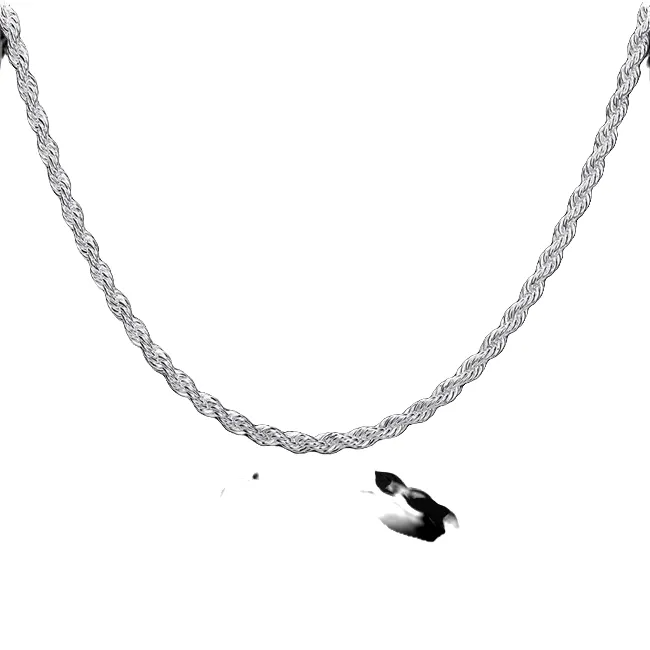 Top Plated sterling silver necklace 4MM men ed Rope chains 16 18 20 22 24 inches DHSN067 925 silver plate Necklaces jewel