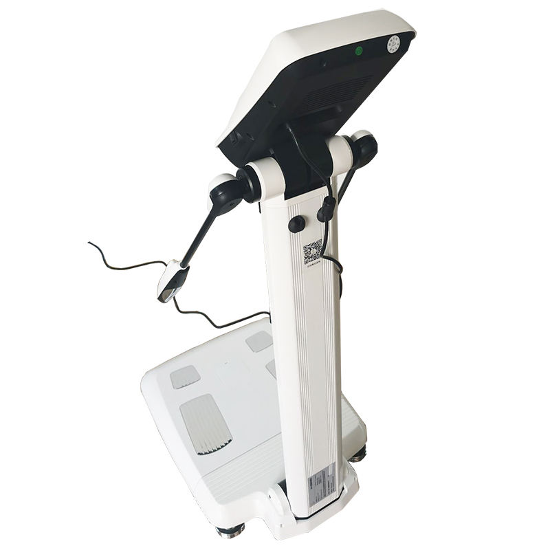 CE Approved Body Fat Scale Composition Analyzer Bio-electrical Impedance Body Proportion Calculating Equipment with 4 Electrodes
