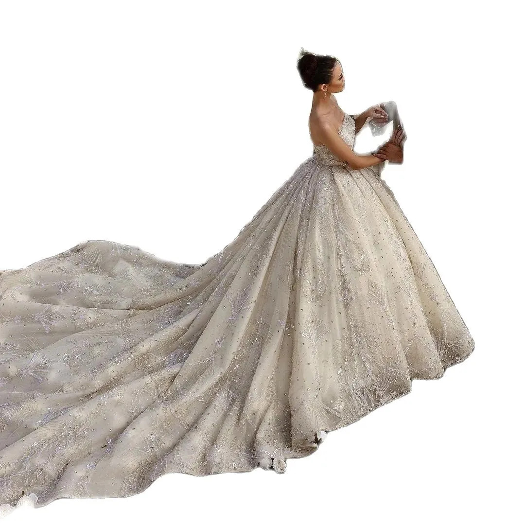 Elegant Strapless Wedding Dresses Ball Gown Luxurious Sequined Lace Backless Dresses vestidos de novia Custom Made
