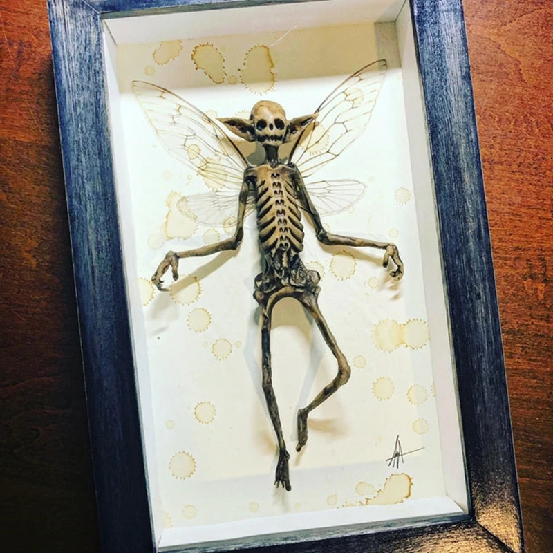 Decorative Objects Figurines Gothic home decor Mummified fairy Fairy skeleton Witchy specimen Statue Picture Frames Display Painting 231009