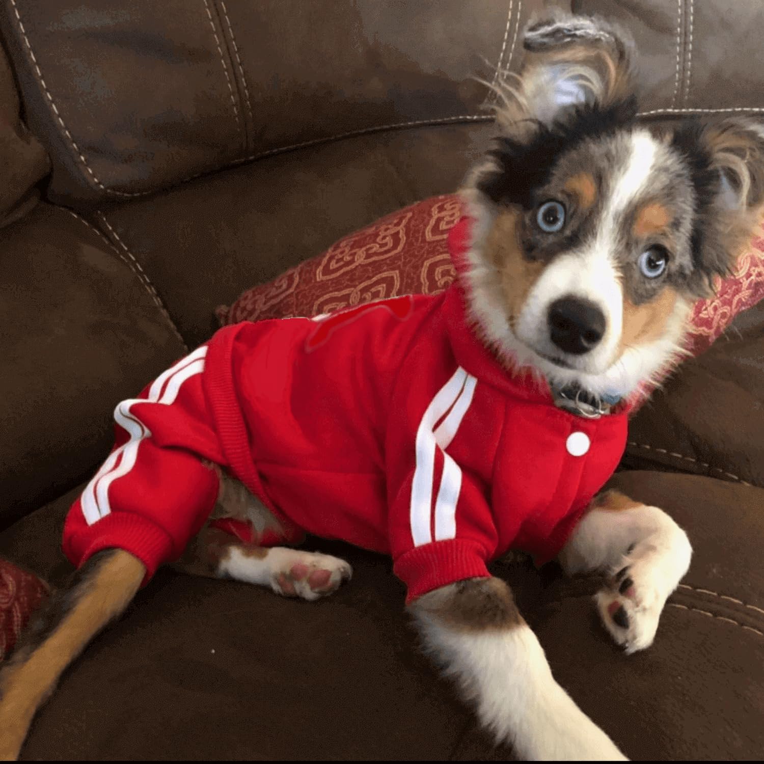 Hoodie Sweater Girl Winter Clothes Cotton 4 Legs Dog Jumpsuit Fleece Sweatshirt Puppy Apparel for Small Medium Dogs Cats