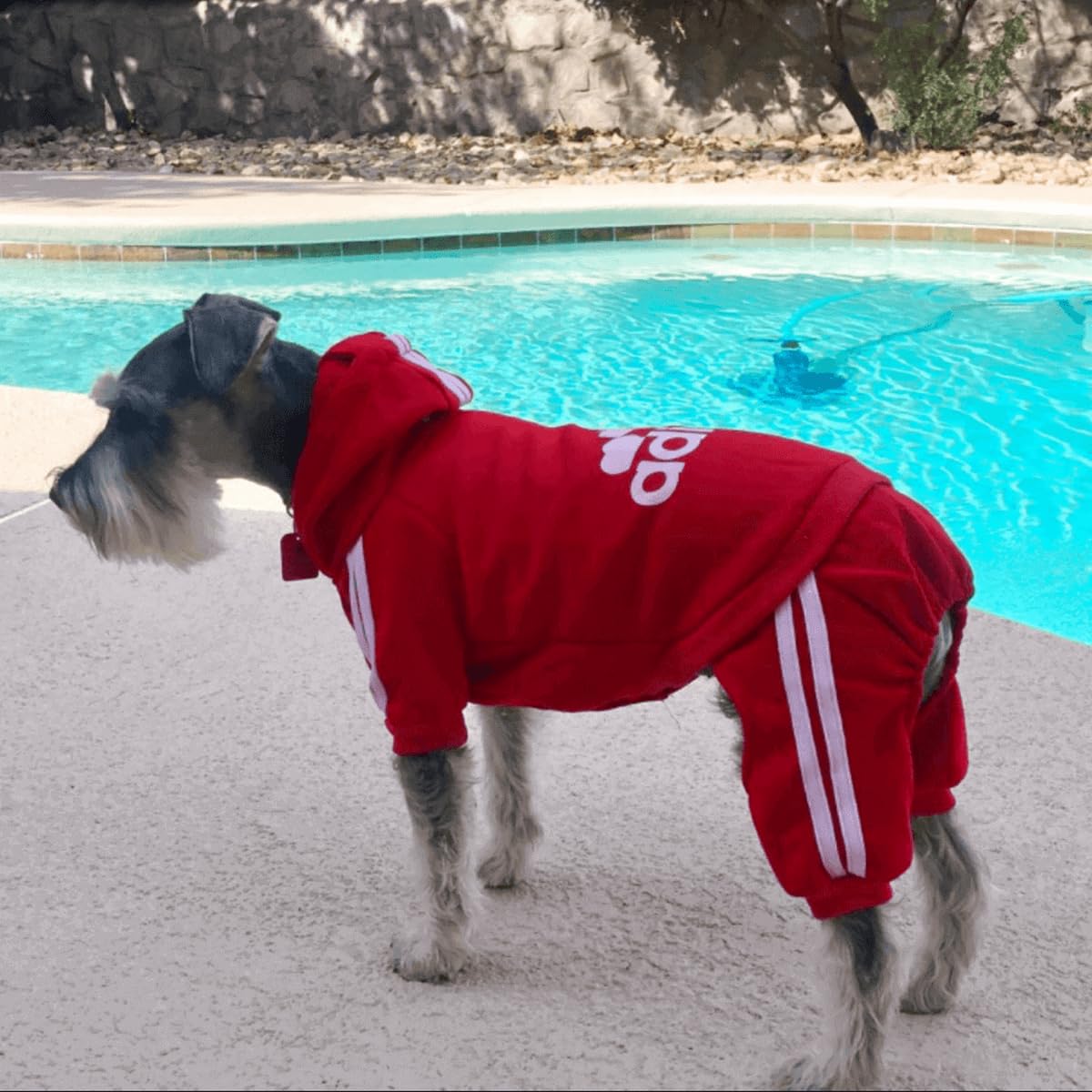 Hoodie Sweater Girl Winter Clothes Cotton 4 Legs Dog Jumpsuit Fleece Sweatshirt Puppy Apparel for Small Medium Dogs Cats