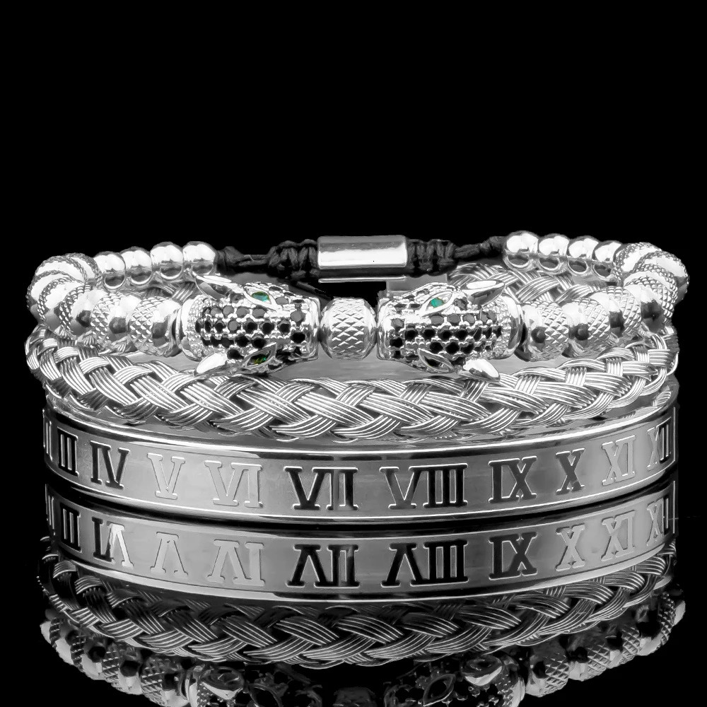 Charm Bracelets 3pcs/set Classical Handmade Braiding Bracelet Hip Hop Men Pave CZ Leopard Head Roman Numeral Bracelet Stainless Steel Jewelry 231009