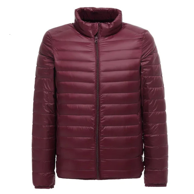 Men's Down Parka Lightweight Waterproof Foldable Down Jacket Men's Fashion Stand Collar Lightweight Down Jacket 55 53