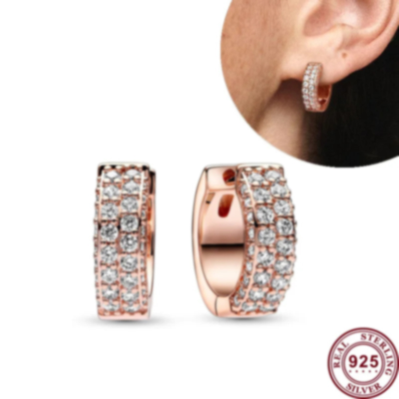 New Silver Shining Flying Swallow Set Love Heart S925 Snake Women's Mother's Day Earrings Festival DIY Charm Jewelry