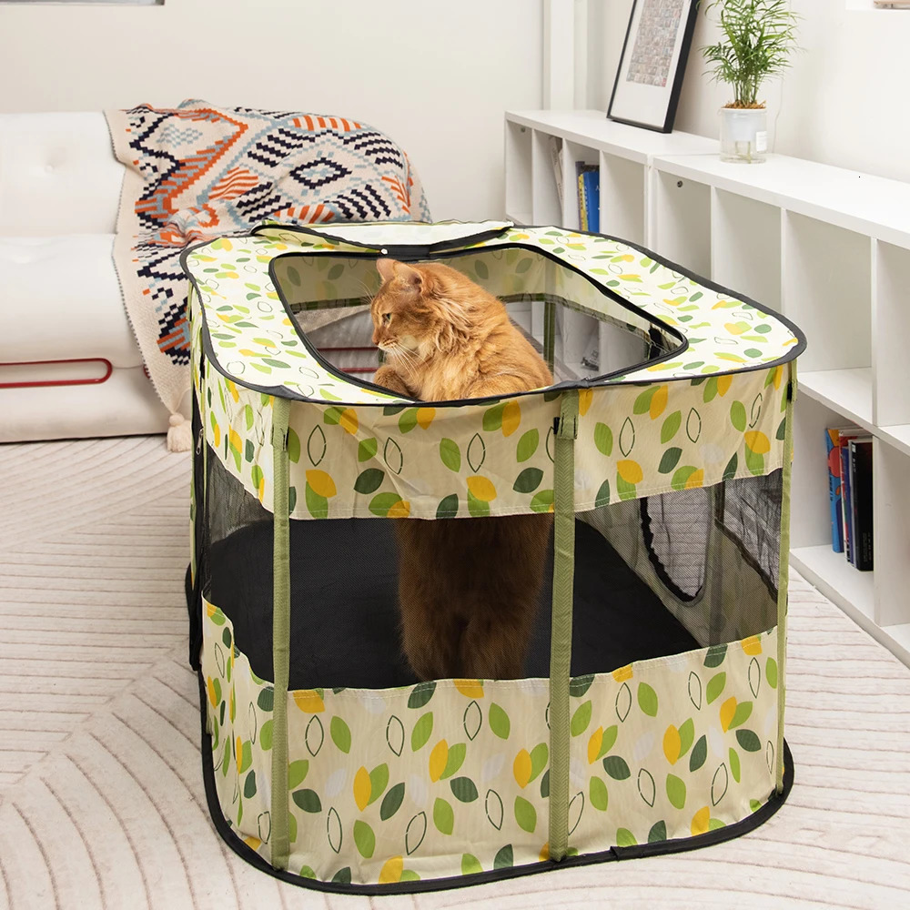 Cat Beds Furniture Cat's House Cat Bed Dog House Indoor Pet for Beds Cats Folding Kitten Tent Rabbit Space To Take Care of Pets Basket 231011