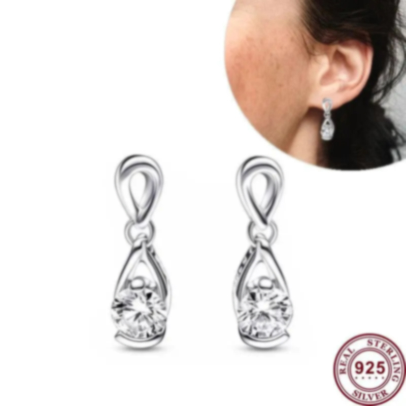 New Silver Shining Flying Swallow Set Love Heart S925 Snake Women's Mother's Day Earrings Festival DIY Charm Jewelry