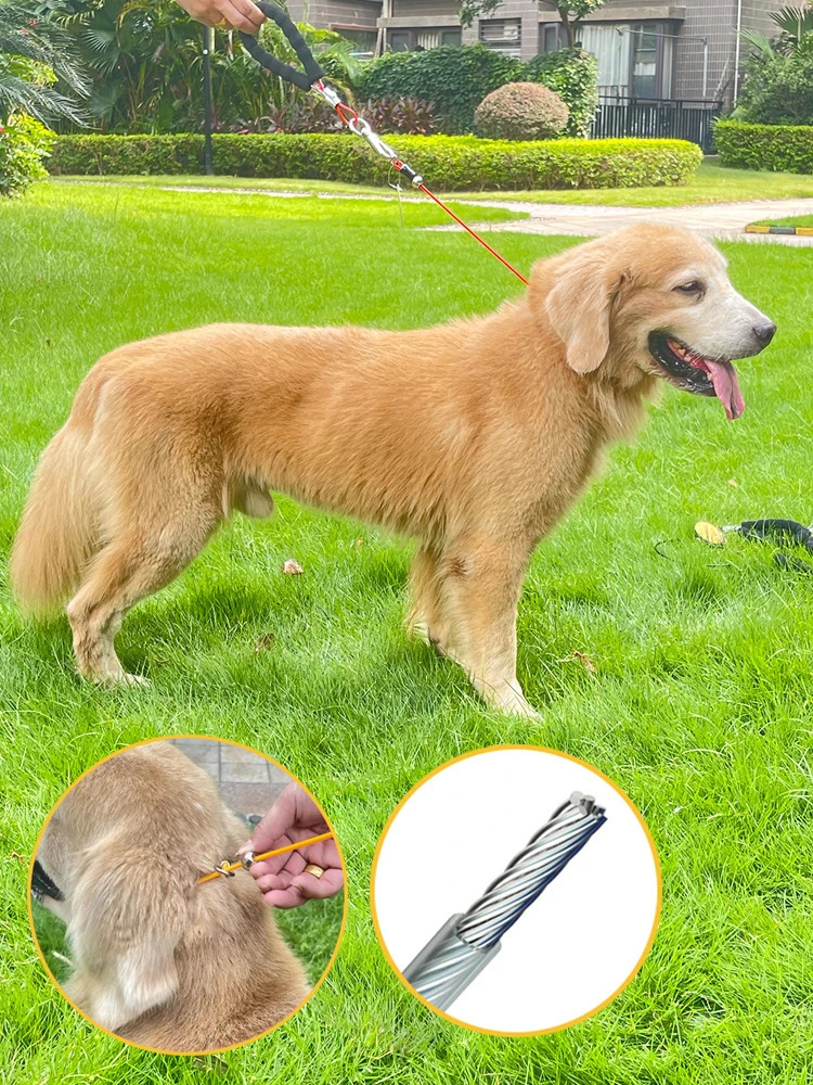 Cat Collars Leads Steel Wire Dog P Chain Collar Leash Set Training Choke Collar for Cat Big Pet Dog Puppy Slender Tough Lead Rope Colored Walking 2310