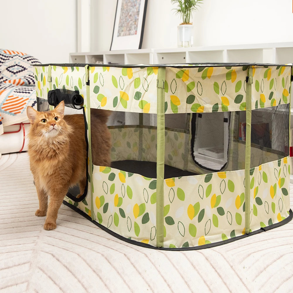 Cat Beds Furniture Cat's House Cat Bed Dog House Indoor Pet for Beds Cats Folding Kitten Tent Rabbit Space To Take Care of Pets Basket 231011