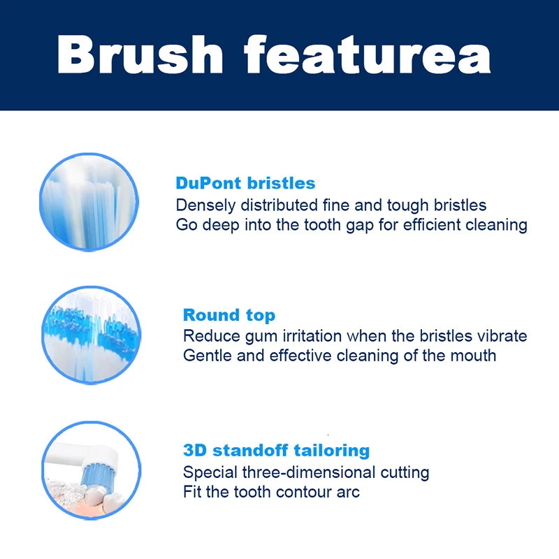 Toothbrush Rotary Electric Toothbrush with Base Rechargeable Dental Automatic High Frequency Vibration Tartar Stains Remove Teeth Whitening 231012