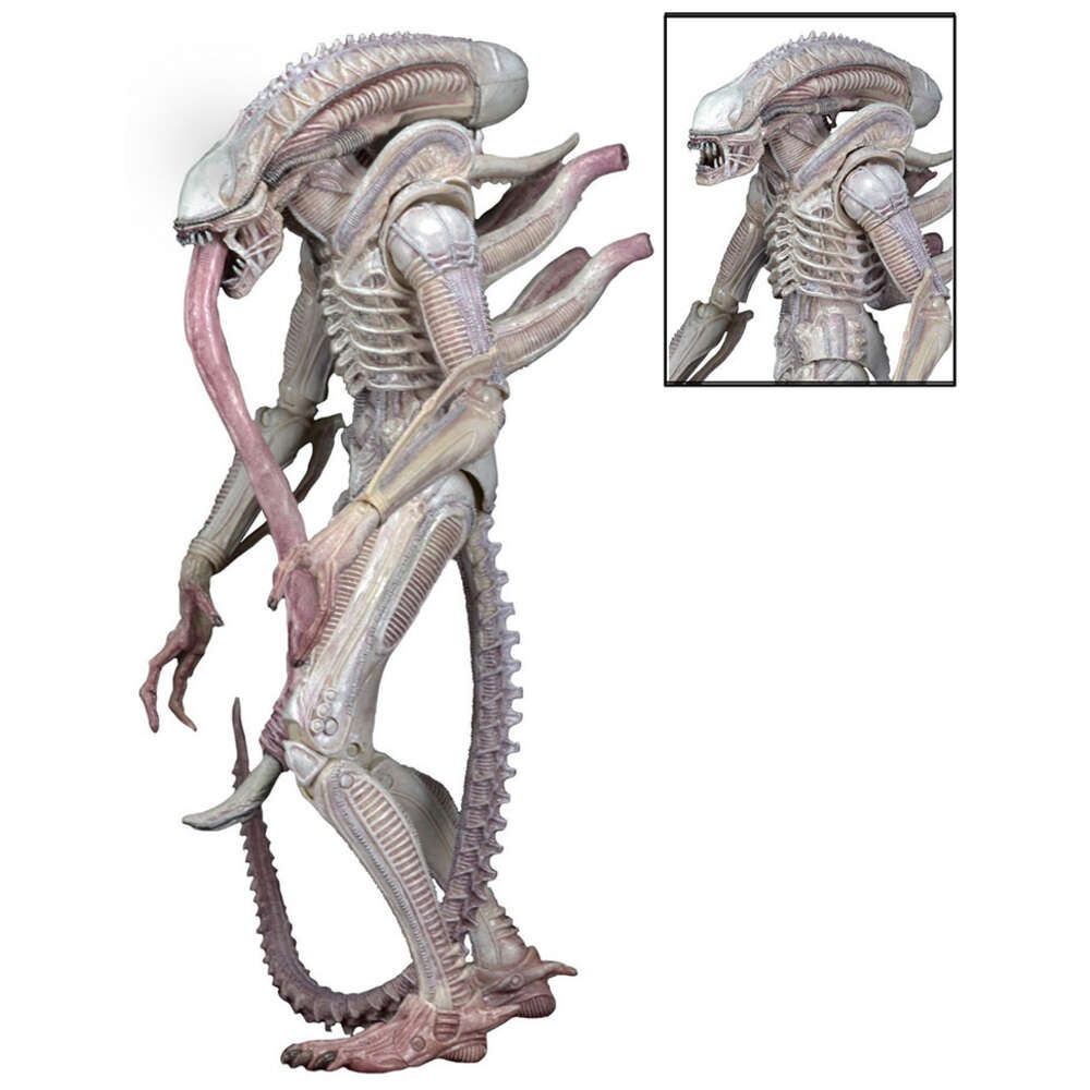 Mascot Costumes Aliens Vs Predator Neca Alien Albino Drone Alien Private Ricco Frost Pvc Action Figure Xenomorph Alien Figure Collectible Toys