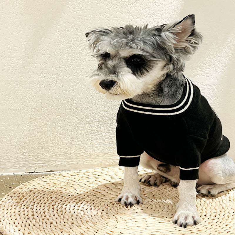 free shipping Designer Clothes Apparel with ic Pattern Warm Small Turtleneck Dog Coat Knitwear Sweater for Fall Winter Black XXL A858