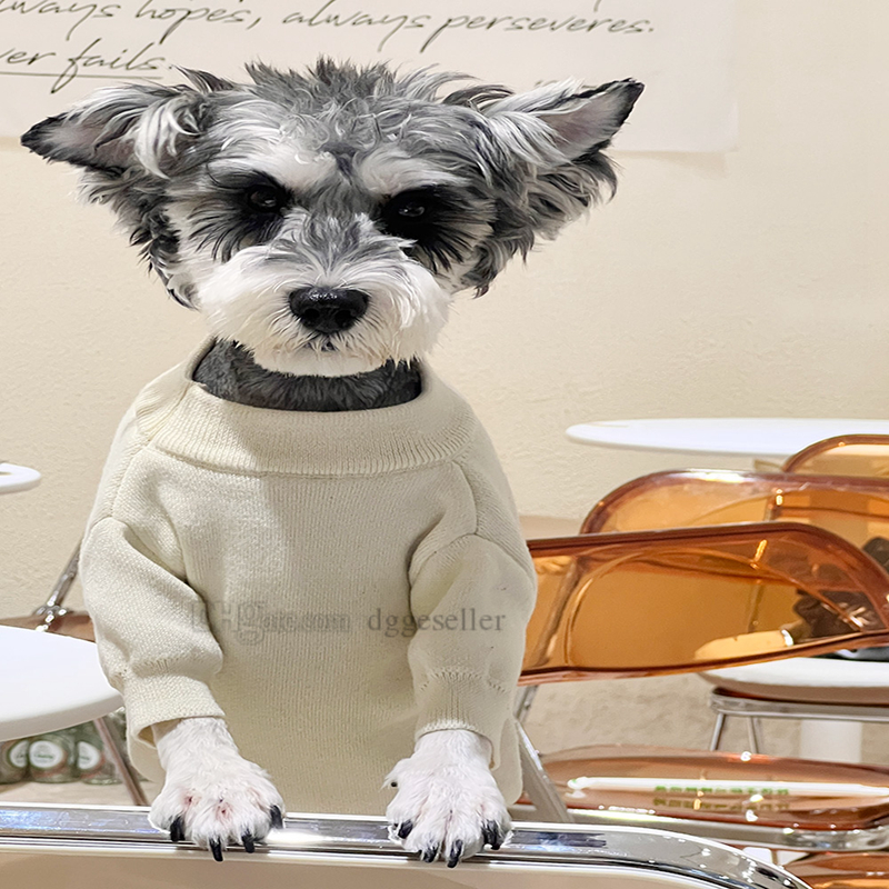 Designer Apparel Classic Letter Sweaters Cold Weather Cable Knitwear Clothes for Puppy, Dog Christmas French Bulldog Sweater S 857