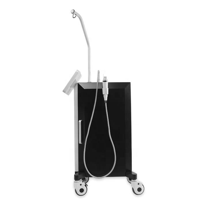 Vertical Microneedle RF Inelastic Skin Improvement Smoothing Wrinkle Eliminate Scar Stretchmarks Removal Face Whitening Tendering Machine with 4 Worki