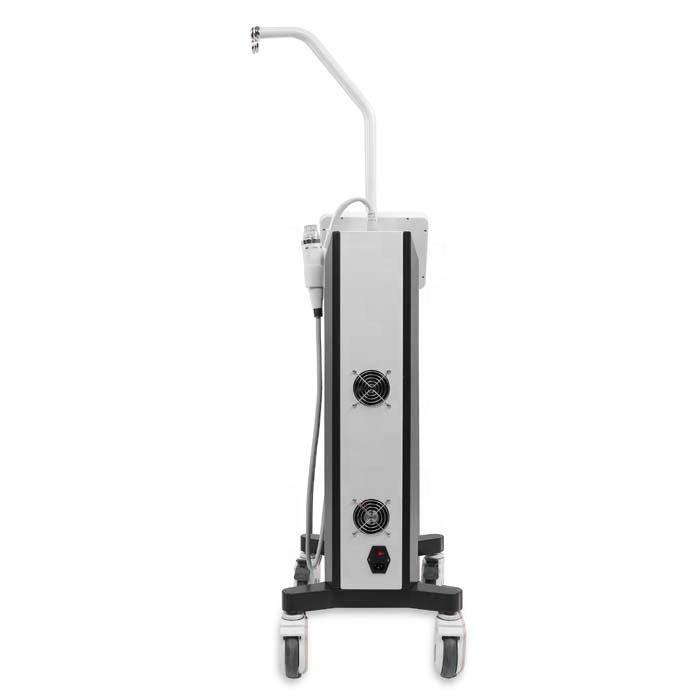 Vertical Microneedle RF Inelastic Skin Improvement Smoothing Wrinkle Eliminate Scar Stretchmarks Removal Face Whitening Tendering Machine with 4 Worki