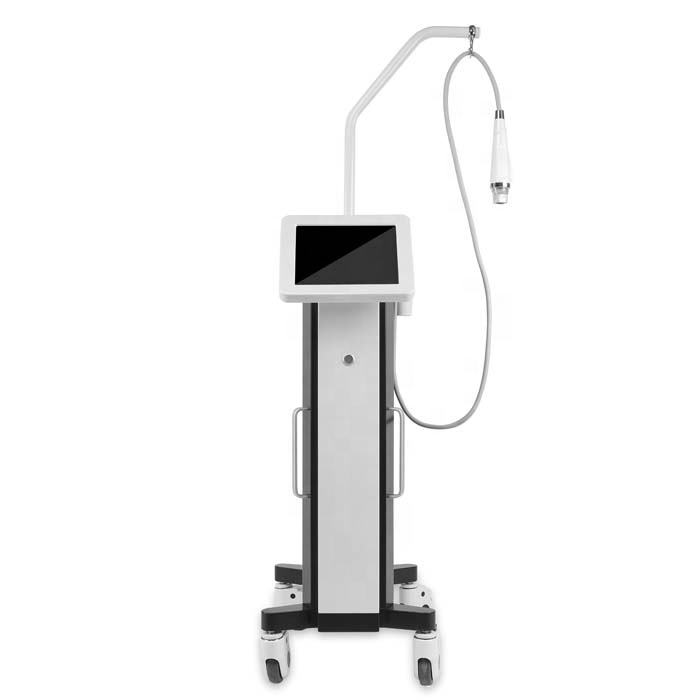 Multifunctional RF Microneedle Skin Care Center Skin Smoothing Revitalization Wrinkle Acne Reduction Pox Pits Removal 4 Working Heads Changeable Equip