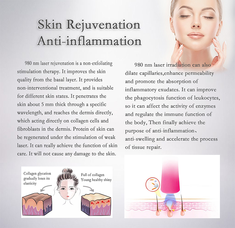 High Quality Diode Laser Vascular Treatment Machine Spider Vein Removal Laser Treatment High Effect Physiotherapy 980nm Diode Laser Equipment