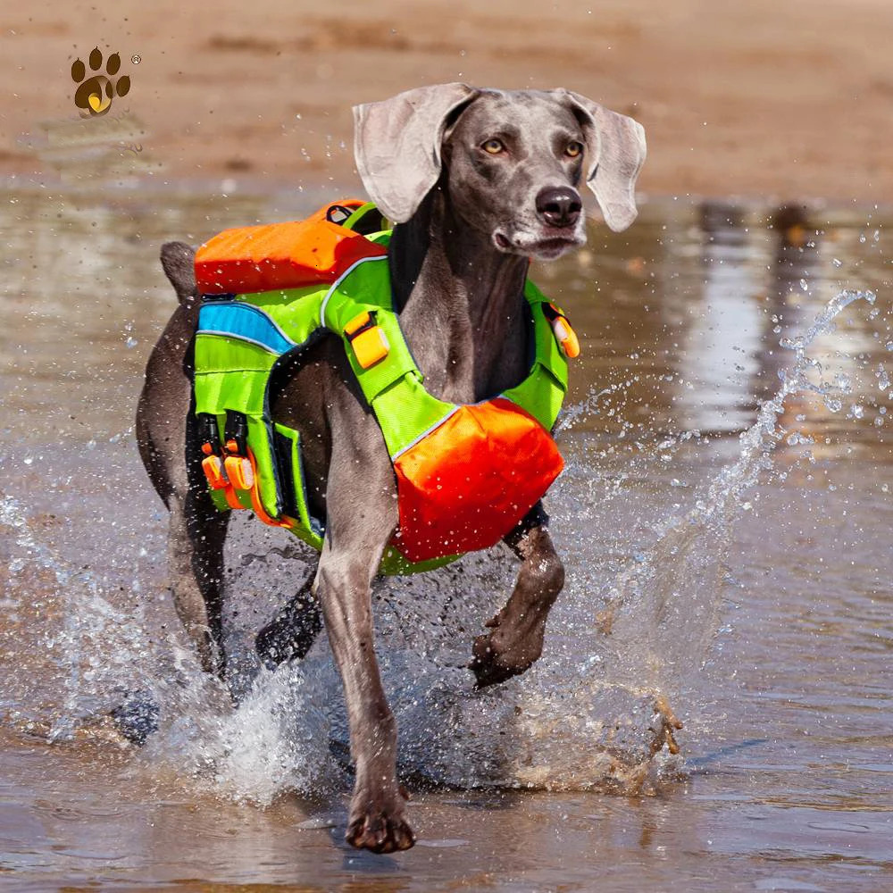Dog Apparel Pet Dog Life Jacket Safety Vest Dog Clothes Dog Swimsuit Summer Vacation Oxford Reflective Breathable Vest for Sports Dog 231024