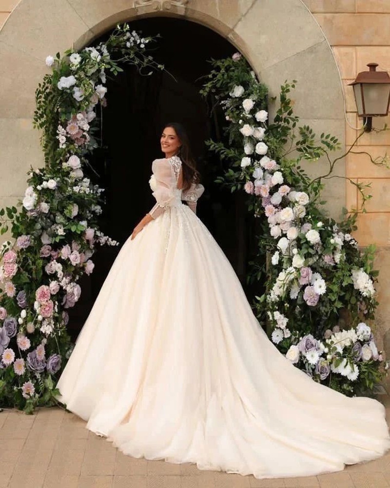 Elegant Lace A-Line Wedding Dress Classic 3D-Appliques Sexy V-Neck Ball Gown Tulle Brush Train Bridal Gowns Dress Customized D-H23515