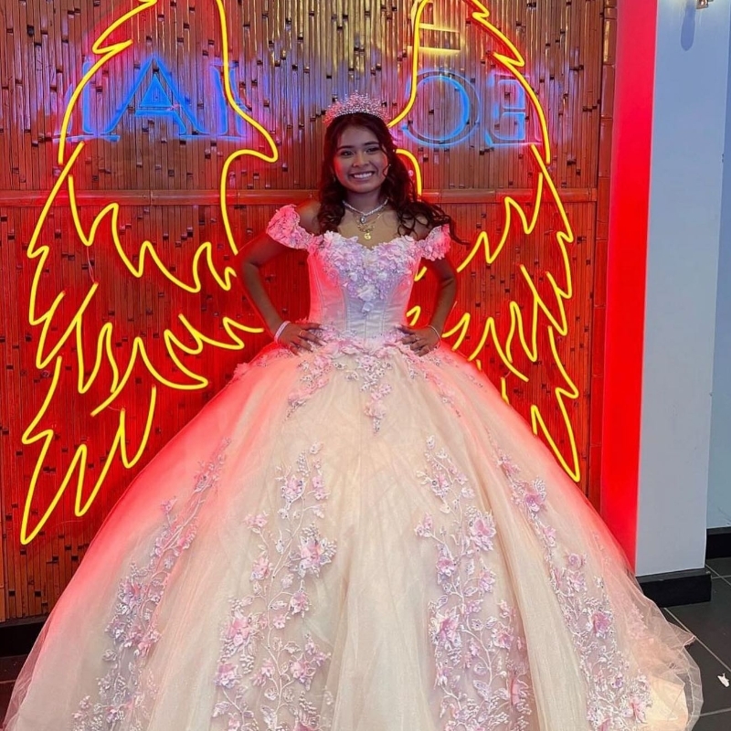 Pink Shiny Lace Ball Gown Quinceanera 2024 Applique 3D wer Beaded Sweetheart Sweet 16 Dress Lace-up Vestido 15 Anos