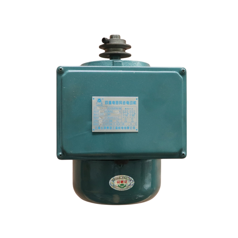 wholesale TDP-5T Parts Electric Motor for TDP-5 Single Punch Presser