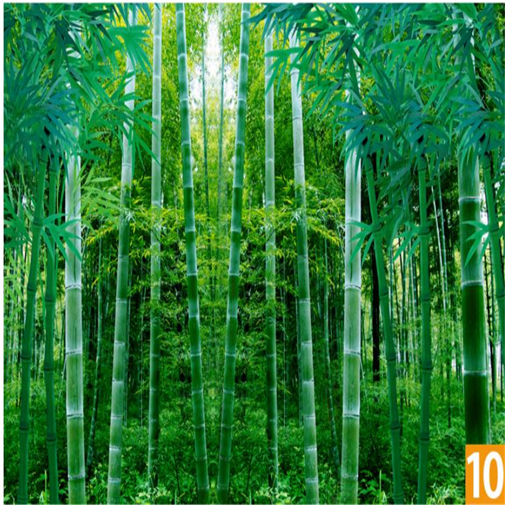 Green bamboo landscape painting stickers wallpaper wall paste bamboo forest living room mural 3d stereo wallpaper 3d wallpapers