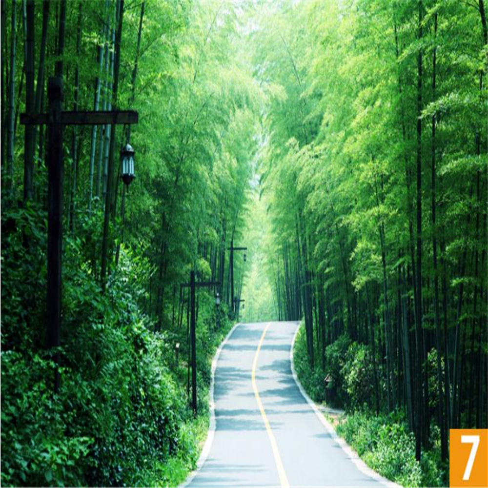Green bamboo landscape painting stickers wallpaper wall paste bamboo forest living room mural 3d stereo wallpaper 3d wallpapers