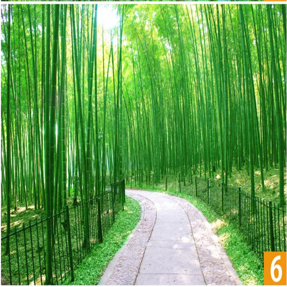 Green bamboo landscape painting stickers wallpaper wall paste bamboo forest living room mural 3d stereo wallpaper 3d wallpapers