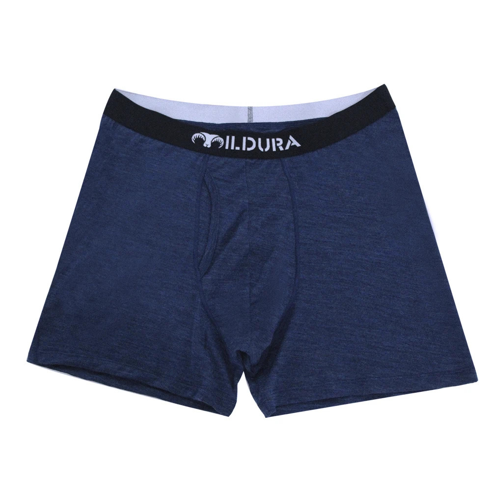 Underpants 100 Merino Wool Men Underwear Man Boxer Lightweight Wol Quick drying Breathable Soft Size S2XL 231027