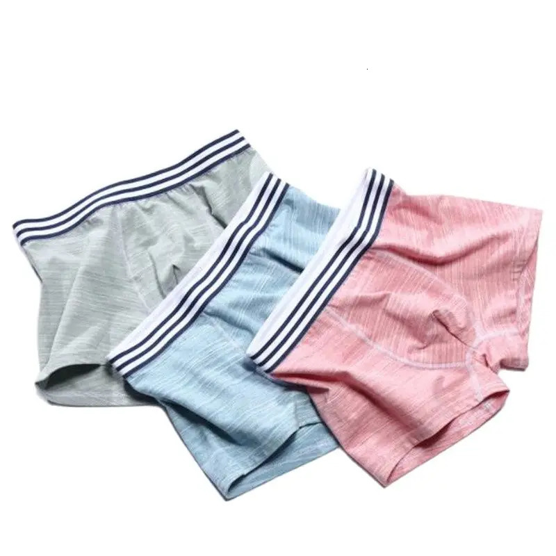 Underpants 4 Pcs Men Boxers Briefs Shorts Cotton Panties Boys Undies Comfortable Striped Underwear Sexy Trunks S M L XL 2XL 3XL 231027