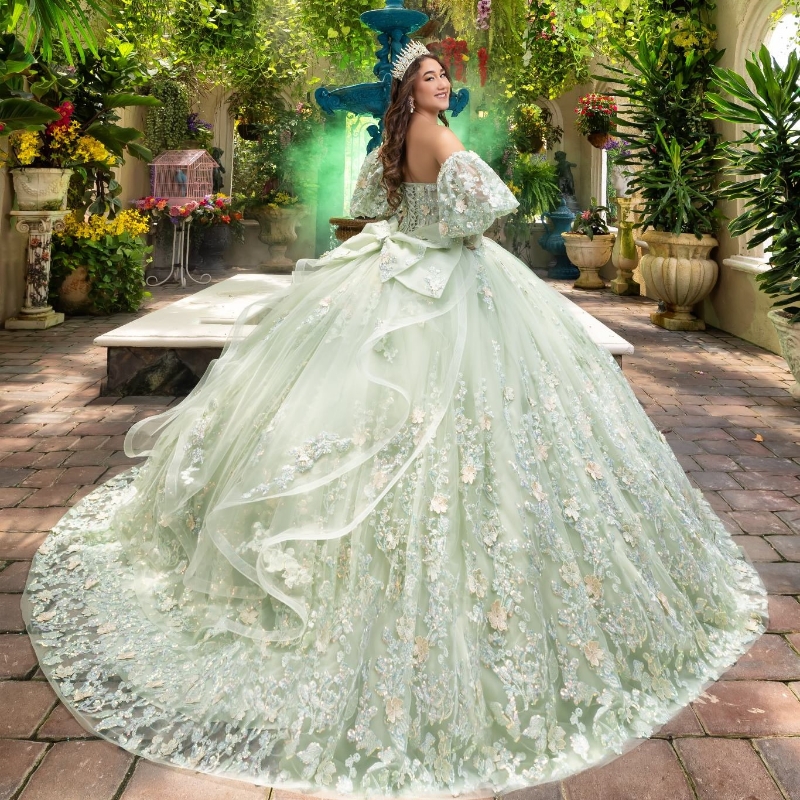 Sage Green Shiny Quinceanera Dresses Sequin Applique Lace Beads Tull Ball Gown Birthday Party Dress Lace Up Graduation Gown Sweetheart de 15 anos Swee