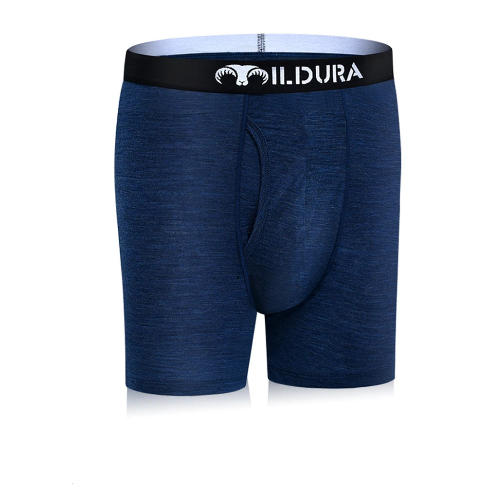 Underpants 100 Merino Wool Men Underwear Man Boxer Lightweight Wol Quick drying Breathable Soft Size S2XL 231027