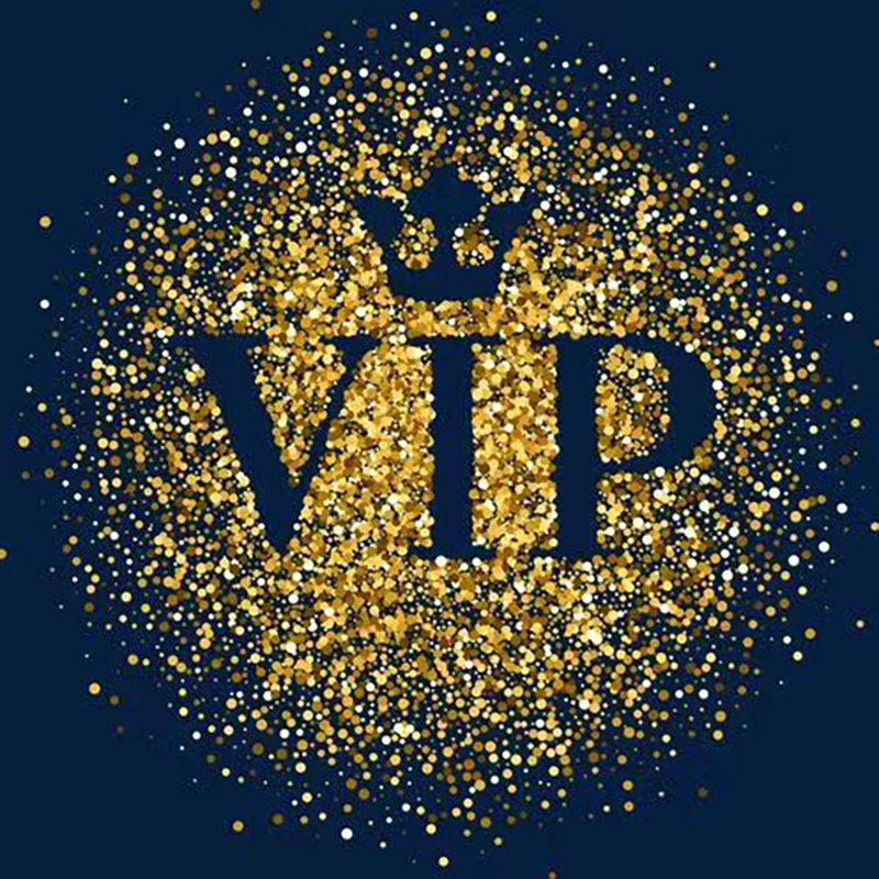 VIP Exclusive Payment Link Designer Bag Luxury Bag With Box V002