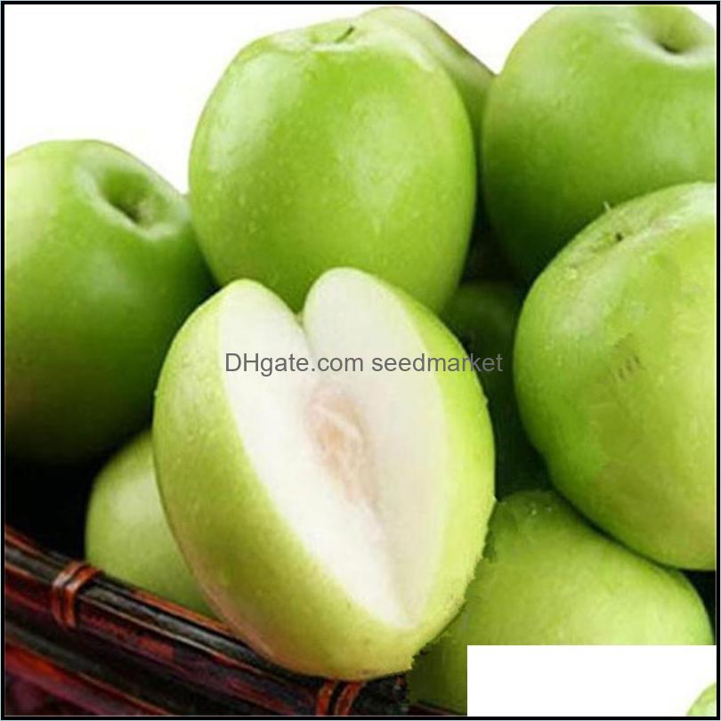 Garden Decorations 10Pcs Jujube Bonsai Chinese Taiwan Big Fruit Tree Rare Tropical Diy Home Garden Potted Plant Drop Delivery 2021 Pa Otys1
Garden Decorations 10Pcs Jujube Bonsai Chinese Taiwan Big Fruit Tree Rare Tropical Diy Home Garden Potted Plant Drop Delivery 2021 Pa Otys1