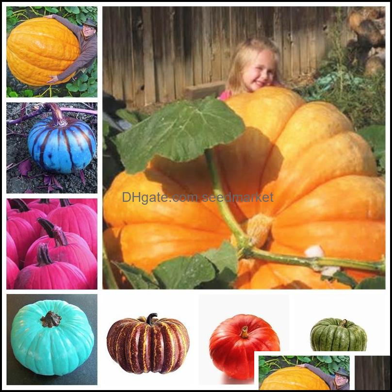 Garden Decorations 20Pcs Seeds Nt Pumpkin Plants Vegetable Fruit Bonsai Happy Farm For Home Garden Exotic Interested Gift Drop Delive Otui9
Garden Decorations 20Pcs Seeds Nt Pumpkin Plants Vegetable Fruit Bonsai Happy Farm For Home Garden Exotic Interested Gift Drop Delive Otui9