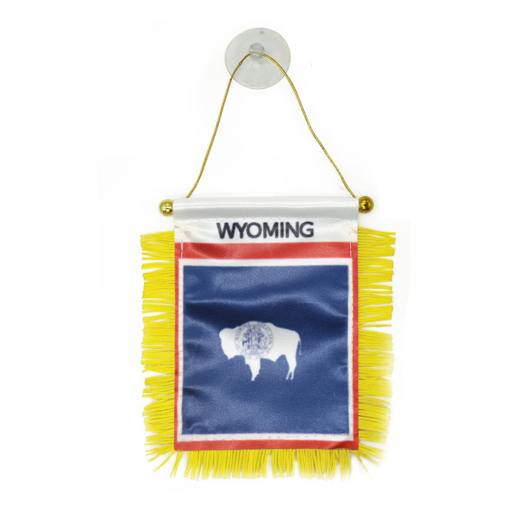 Wyoming Mini Flag Banner 10x15 cm US State of Wyoming Pennant with Suction Cup for Home Office Door Decor
Wyoming Mini Flag Banner 10x15 cm US State of Wyoming Pennant with Suction Cup for Home Office Door Decor