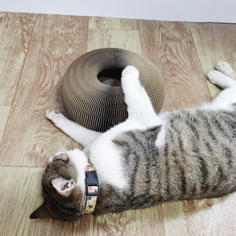 Cat Furniture Scratchers Magic organ cat scratching board is not easy to deform toy with bell grinding claw climbing frame 220906