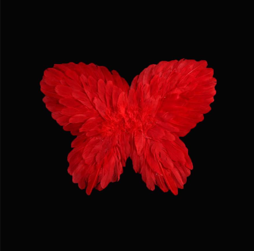 Feather Butterfly Fairy Angel Wings Costume Accessories For Kids Adults Black White Red Pink