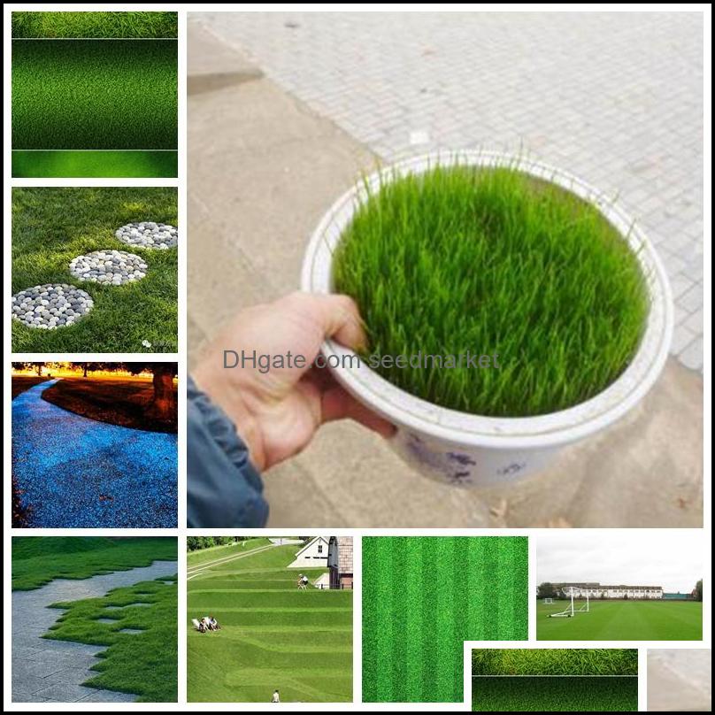 Other Garden Supplies 1000 Pcs Seeds Japanese Forest Grass Lawn Perennial Evergreen Lawn Bonsai Plant Beautif Garden Orna Sports2010 Otijv
Other Garden Supplies 1000 Pcs Seeds Japanese Forest Grass Lawn Perennial Evergreen Lawn Bonsai Plant Beautif Garden Orna Sports2010 Otijv