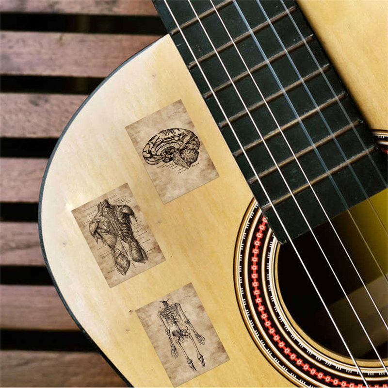 56Pcs Creative Anatomy and Physiology Stickers The Human Skeleton Graffiti Stickers for DIY Luggage Laptop Bicycle Sticker