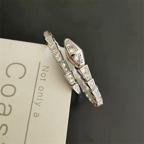 Fashion Designer Bracelet Gold Silver rose spring snake shaped Charm Stainless Steel Bracelet Bangle For Men Women wedding birthday engagement gift Jewelry
Fashion Designer Bracelet Gold Silver rose spring snake shaped Charm Stainless Steel Bracelet Bangle For Men Women wedding birthday engagement gift Jewelry