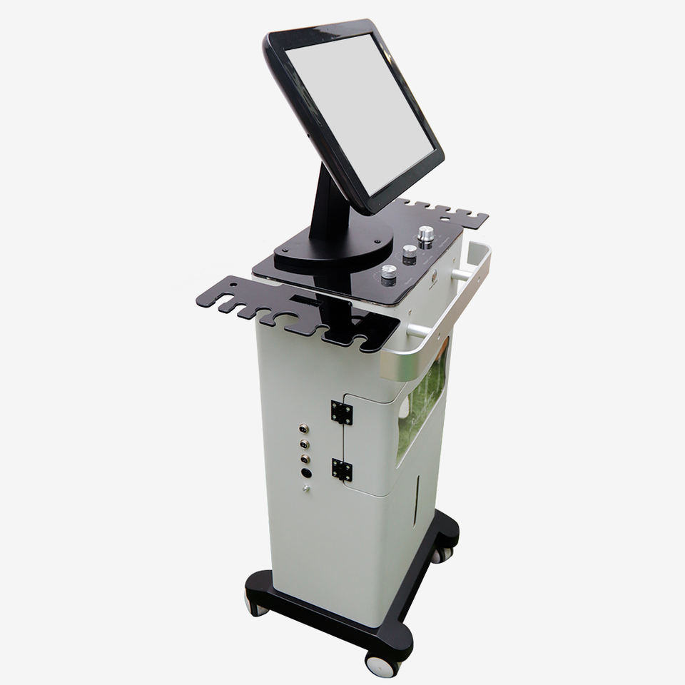 Skin Rejuvenation Spa Equipment Dermabrasion Small Bubble Face Cleanse Aqua Cleaning Bio Ultrasonic Lifting