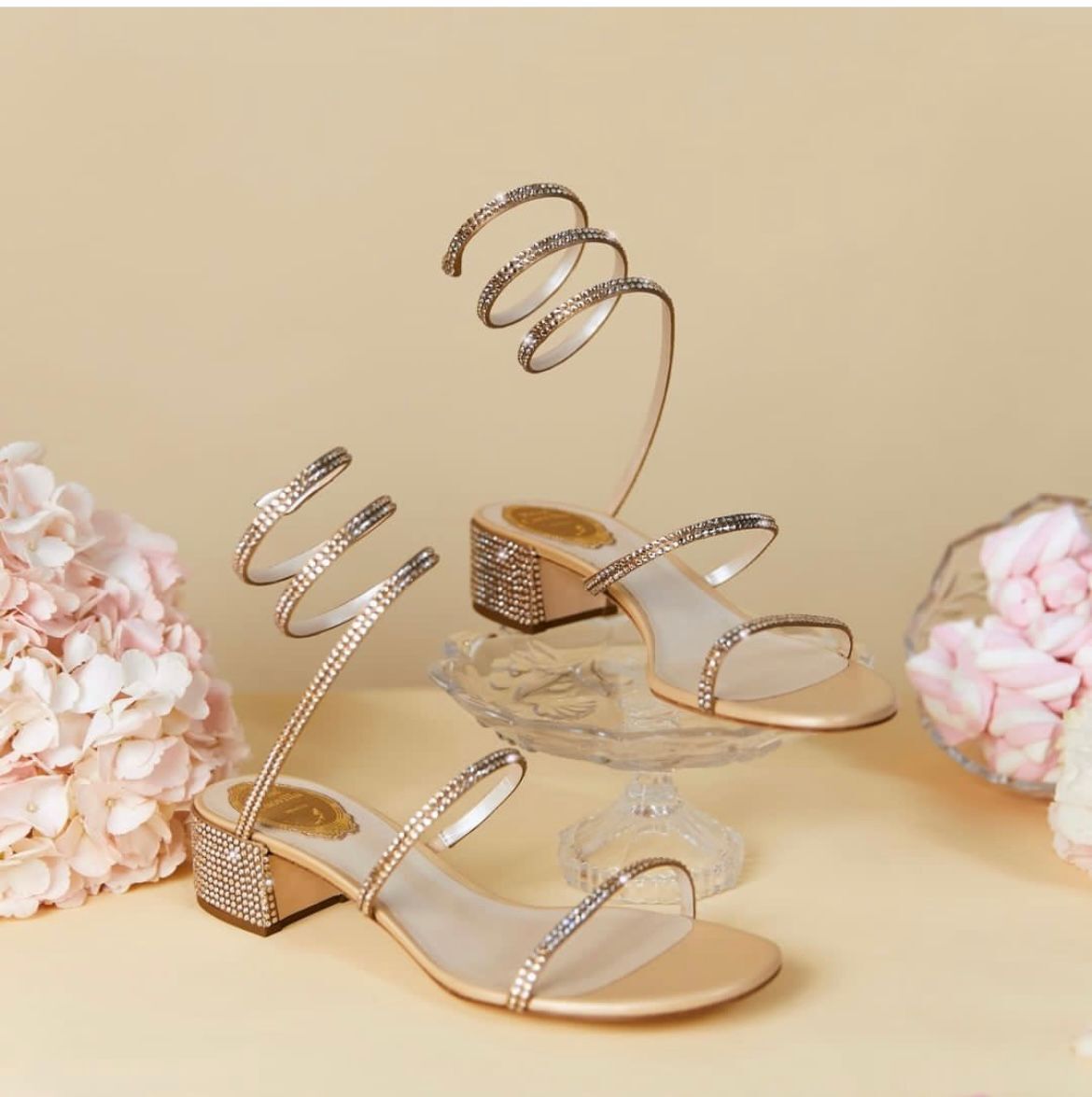 Summer Luxury Cleo Women Sandals Shoes Renes Spiral Ankle Strap Crystal-embellished Caovillas Lady Gladiator Sandalias Wedding Bridal Dress EU35-43
Summer Luxury Cleo Women Sandals Shoes Renes Spiral Ankle Strap Crystal-embellished Caovillas Lady Gladiator Sandalias Wedding Bridal Dress EU35-43