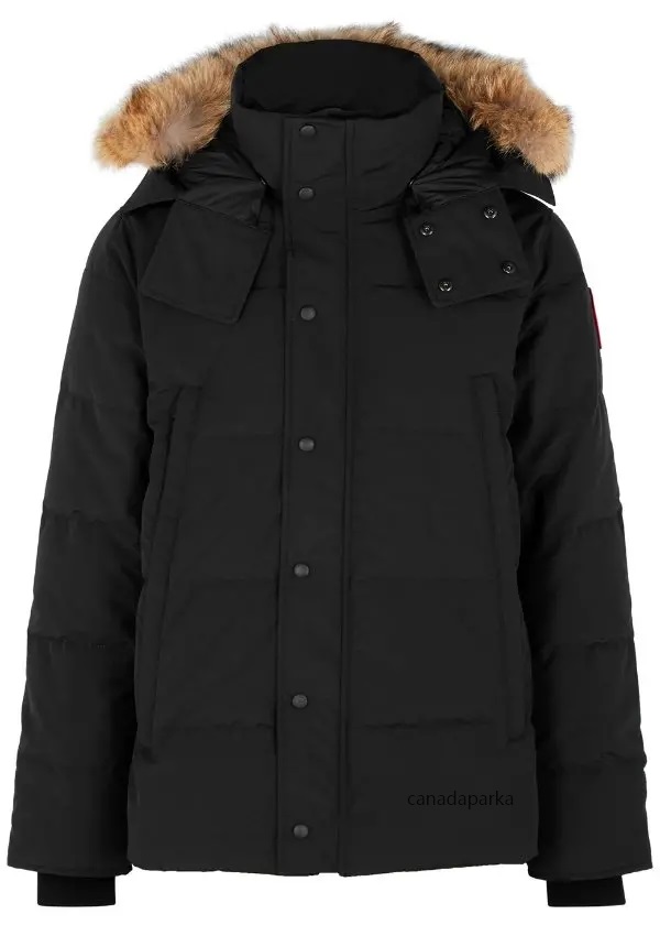 Puffer Jacket Winter Fourrure Down Jacket Manteau Veste Homme Outdoor Jassen Outerwear Real Big Fur Hooded Goose Coat Hiver Parka Doudoune, Black with black logo
Puffer Jacket Winter Fourrure Down Jacket Manteau Veste Homme Outdoor Jassen Outerwear Real Big Fur Hooded Goose Coat Hiver Parka Doudoune, Black with black logo