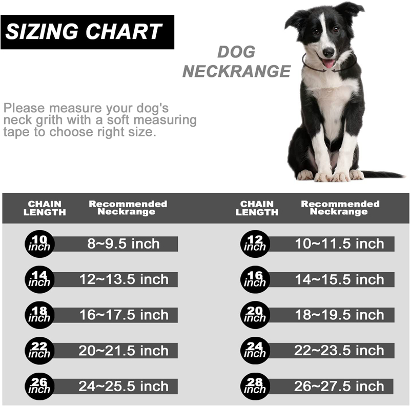 free shipping Lifetime Gold Dog Cuba Collars Walking Metal Chain Collar with Design Secure Buckle Cuban Link Strong Heavy Duty Chew Proof for Medium D